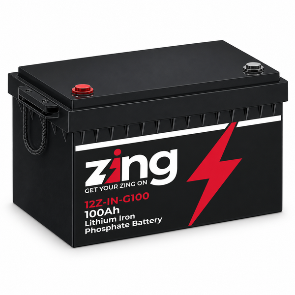 12Z-IN-G100